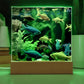 Goldfish Acrylic Aqaurium LED Photo Nightlight or Desk Decor-[product type]