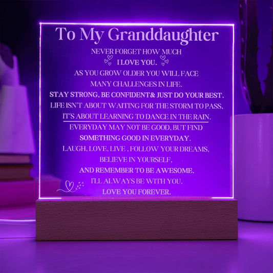 To My Granddaughter Engraved LED Lighted Plaque Gift - Dance in The Rain-[product type]