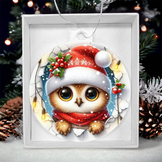 Owl Breakaway 3d Effect Acrylic Ornament-[Heartfelt Family Gift]